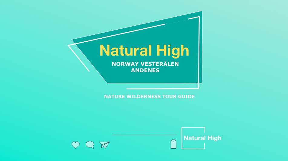 Nature Wilderness Guided Tours